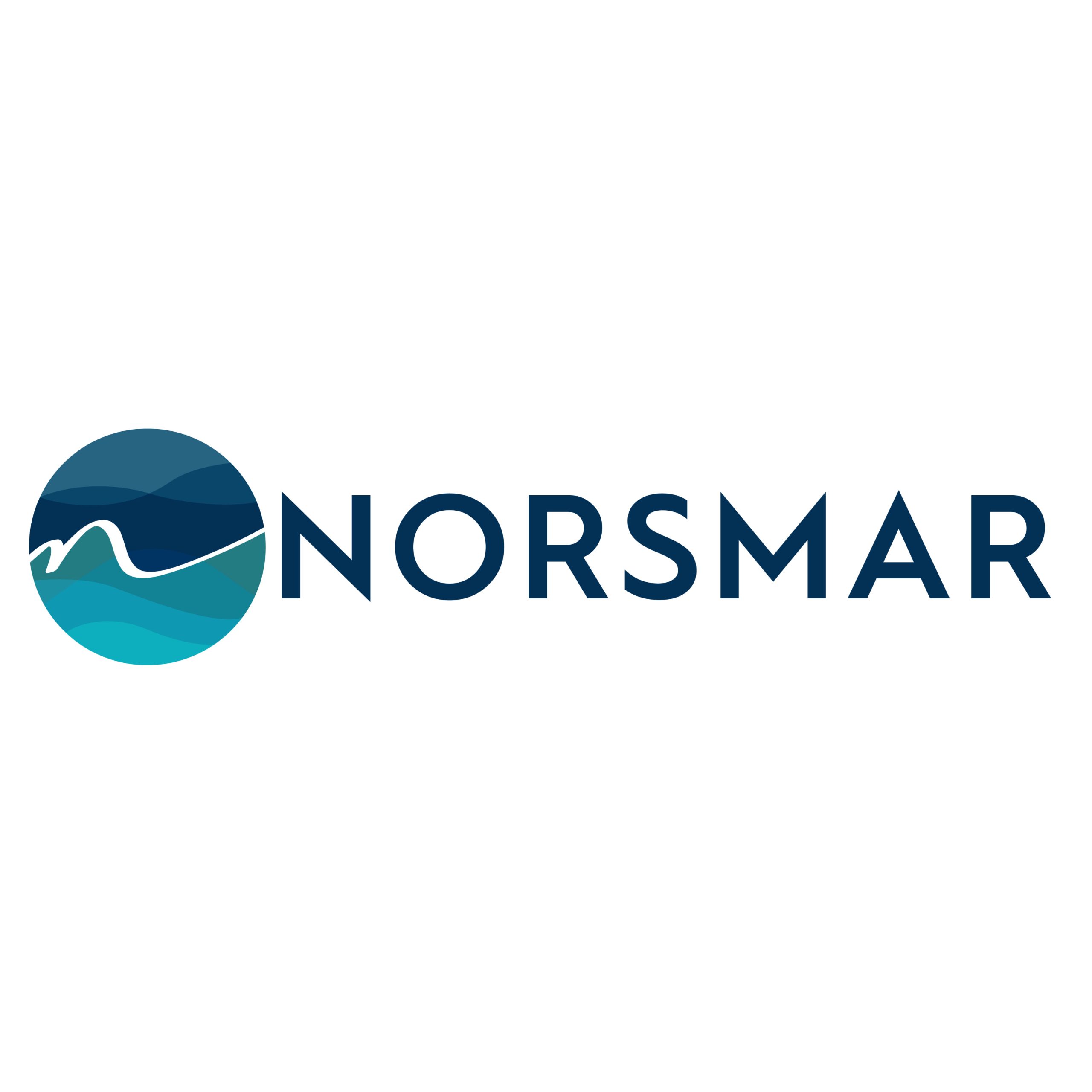 Norsmar: Maritime Excellence in Every Turkish Port and Shipyard
