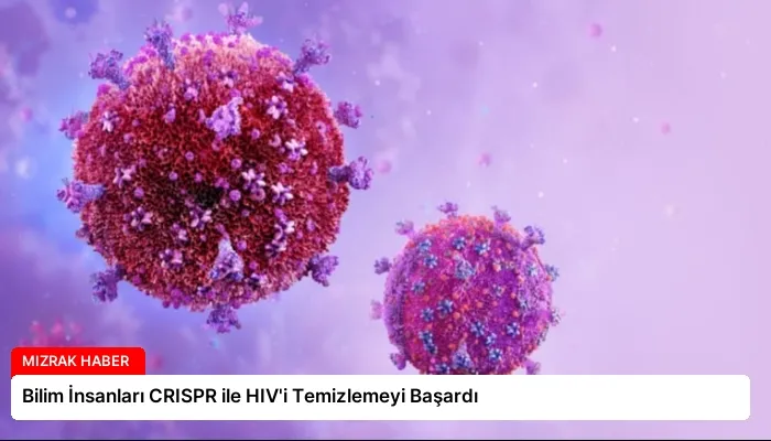 Bilim İnsanları CRISPR ile HIV’i Temizlemeyi Başardı