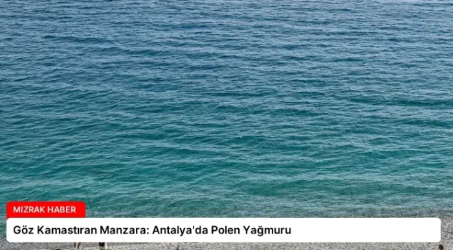Göz Kamastıran Manzara: Antalya’da Polen Yağmuru