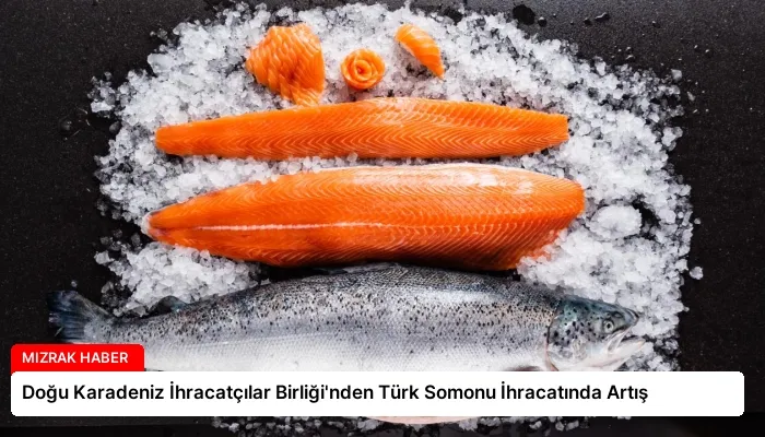 Doğu Karadeniz İhracatçılar Birliği’nden Türk Somonu İhracatında Artış