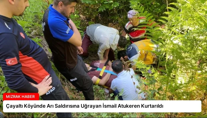 Çayaltı Köyünde Arı Saldırısına Uğrayan İsmail Atukeren Kurtarıldı