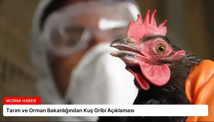 Tarım ve Orman Bakanlığından Kuş Gribi Açıklaması