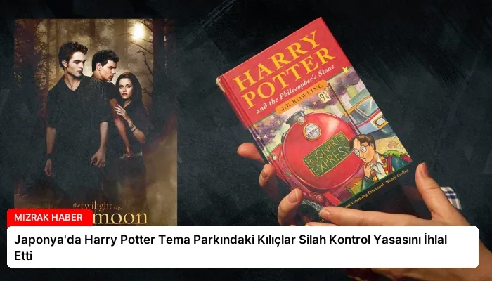 Japonya’da Harry Potter Tema Parkındaki Kılıçlar Silah Kontrol Yasasını İhlal Etti