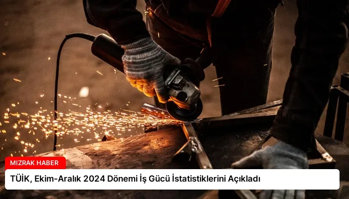 TÜİK, Ekim-Aralık 2024 Dönemi İş Gücü İstatistiklerini Açıkladı