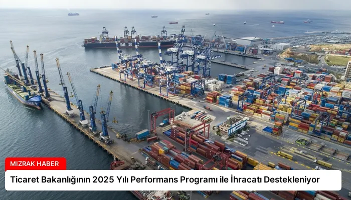 Ticaret Bakanlığının 2025 Yılı Performans Programı ile İhracatı Destekleniyor