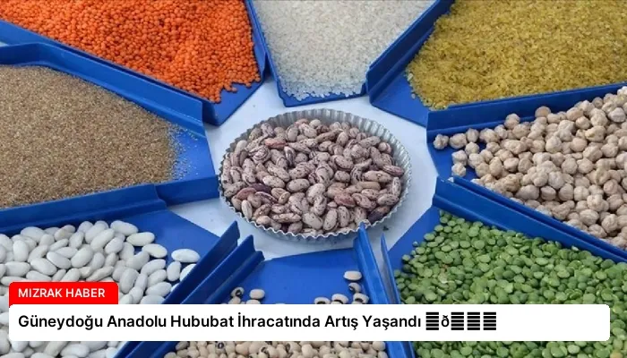 Güneydoğu Anadolu Hububat İhracatında Artış Yaşandı ⏬👇