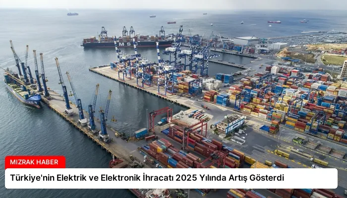 Türkiye’nin Elektrik ve Elektronik İhracatı 2025 Yılında Artış Gösterdi