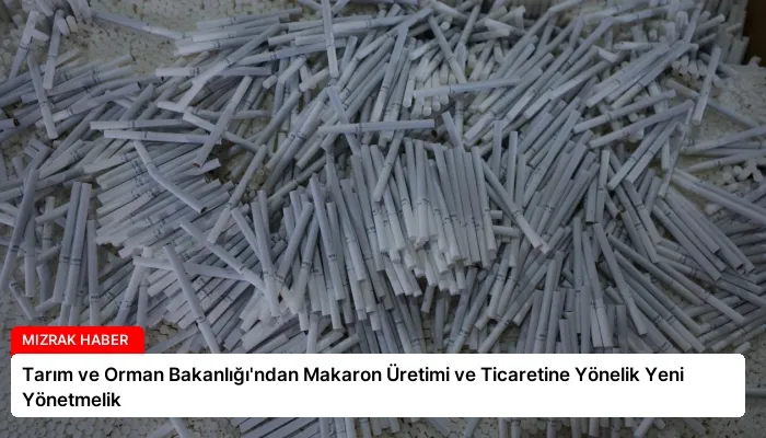 Tarım ve Orman Bakanlığı’ndan Makaron Üretimi ve Ticaretine Yönelik Yeni Yönetmelik