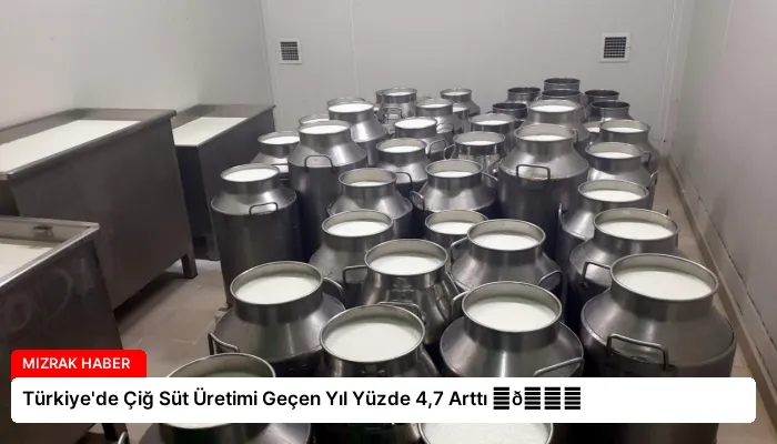 Türkiye’de Çiğ Süt Üretimi Geçen Yıl Yüzde 4,7 Arttı ⏬👇