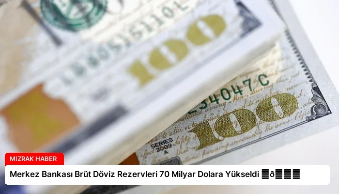 Merkez Bankası Brüt Döviz Rezervleri 70 Milyar Dolara Yükseldi ⏬👇
