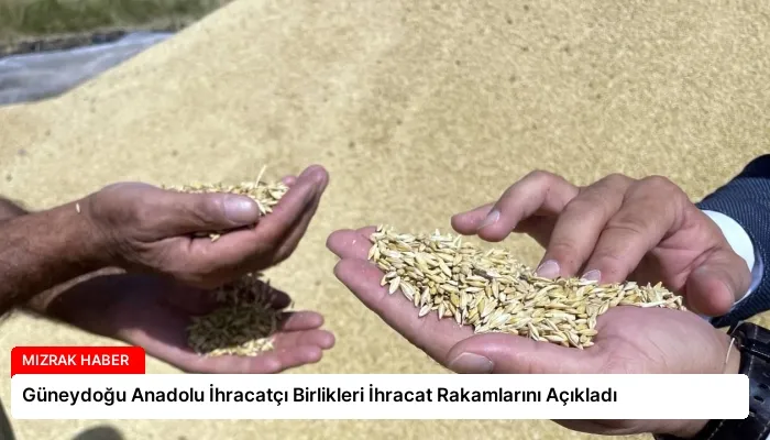 Güneydoğu Anadolu İhracatçı Birlikleri İhracat Rakamlarını Açıkladı
