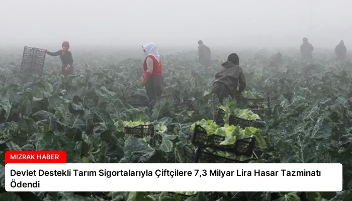 Devlet Destekli Tarım Sigortalarıyla Çiftçilere 7,3 Milyar Lira Hasar Tazminatı Ödendi