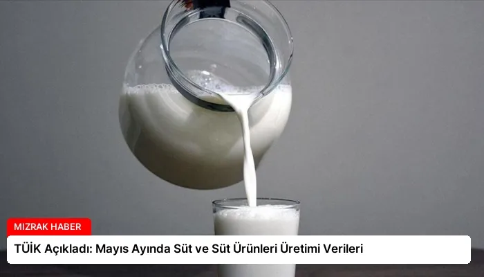 TÜİK Açıkladı: Mayıs Ayında Süt ve Süt Ürünleri Üretimi Verileri