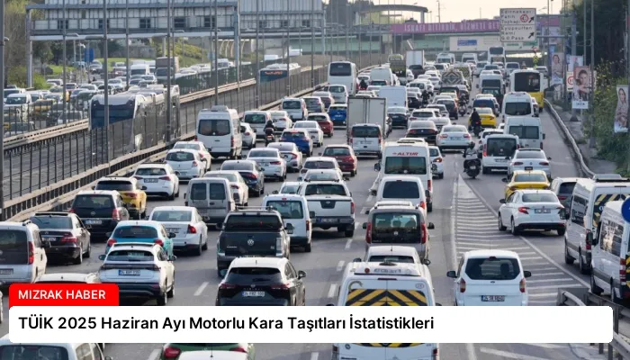 TÜİK 2025 Haziran Ayı Motorlu Kara Taşıtları İstatistikleri