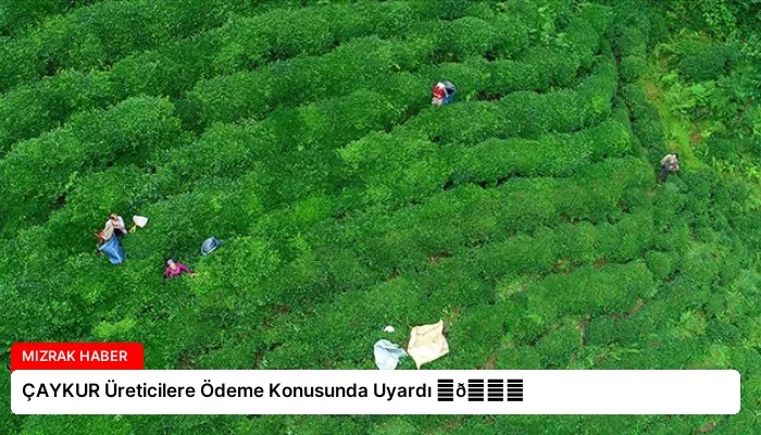 ÇAYKUR Üreticilere Ödeme Konusunda Uyardı ⏬👇