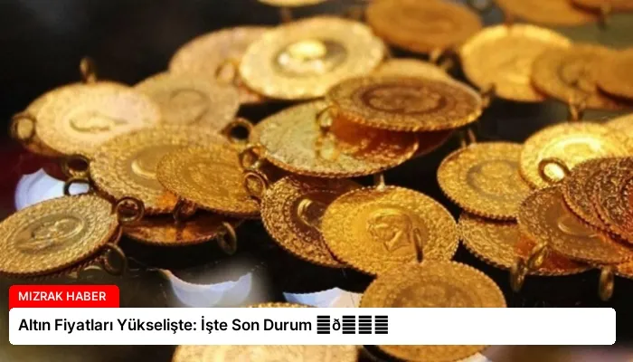 Altın Fiyatları Yükselişte: İşte Son Durum ⏬👇