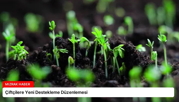 Çiftçilere Yeni Destekleme Düzenlemesi