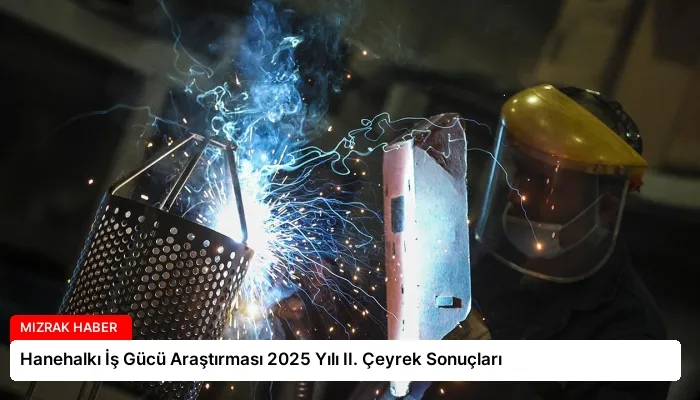 Hanehalkı İş Gücü Araştırması 2025 Yılı II. Çeyrek Sonuçları