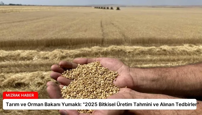 Tarım ve Orman Bakanı Yumaklı: “2025 Bitkisel Üretim Tahmini ve Alınan Tedbirler”