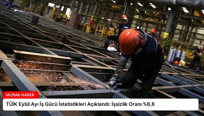 TÜİK Eylül Ayı İş Gücü İstatistikleri Açıklandı: İşsizlik Oranı %8,6
