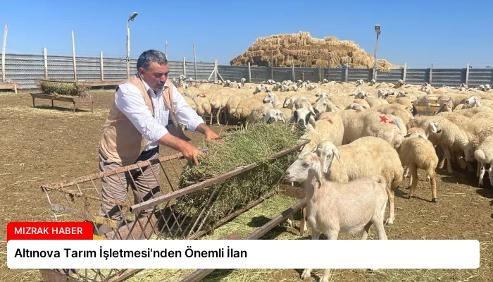 Altınova Tarım İşletmesi’nden Önemli İlan