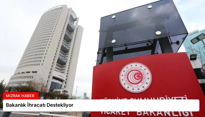 Bakanlık İhracatı Destekliyor