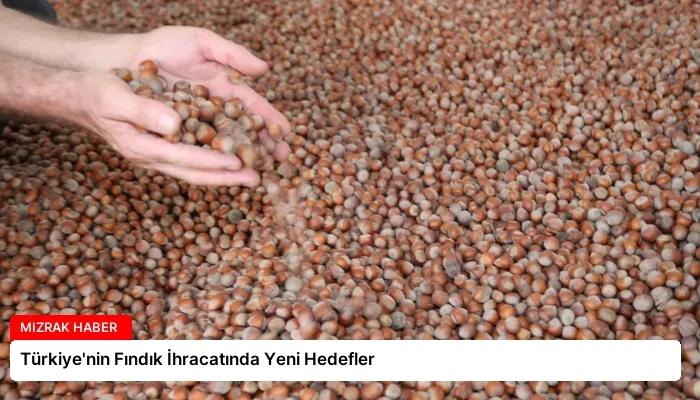 Türkiye’nin Fındık İhracatında Yeni Hedefler