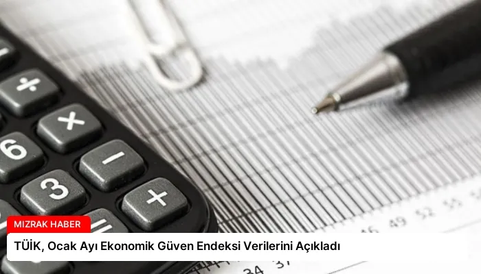 TÜİK, Ocak Ayı Ekonomik Güven Endeksi Verilerini Açıkladı