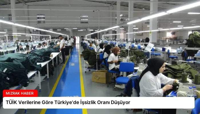 TÜİK Verilerine Göre Türkiye’de İşsizlik Oranı Düşüyor