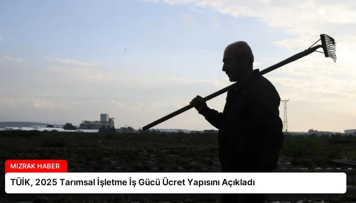 TÜİK, 2025 Tarımsal İşletme İş Gücü Ücret Yapısını Açıkladı