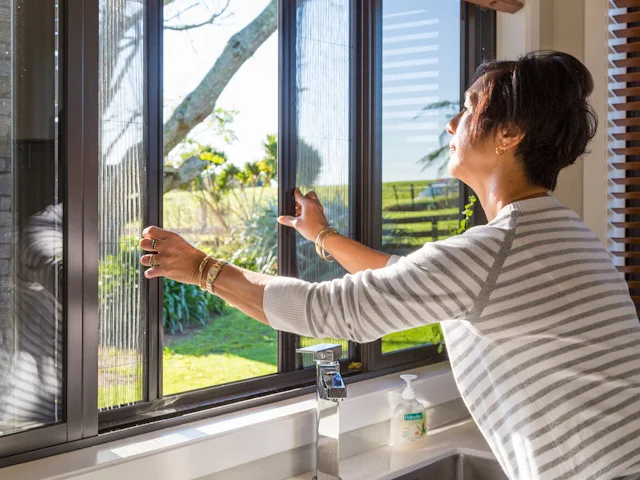 Sineklik Fiyatları Neye Göre Değişir? Kaliteyi Anlamanın Yolları