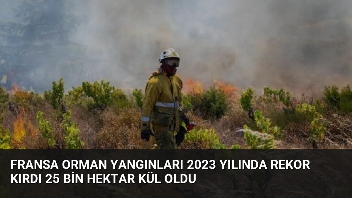 Fransa Orman Yangınları 2023 Yılında Rekor Kırdı 25 Bin Hektar Kül Oldu