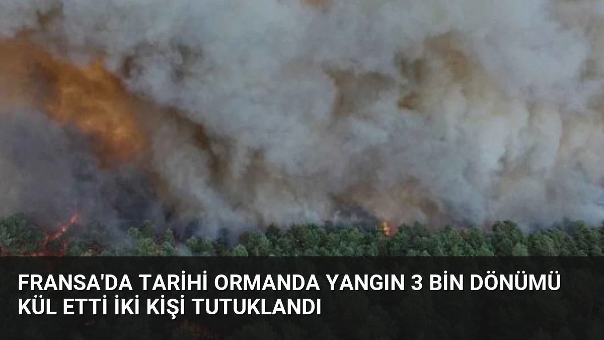 Fransa’da Tarihi Ormanda Yangın 3 Bin Dönümü Kül Etti İki Kişi Tutuklandı