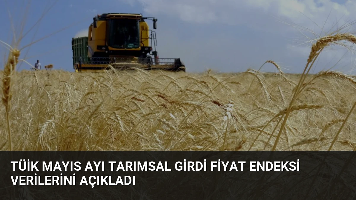 TÜİK Mayıs Ayı Tarımsal Girdi Fiyat Endeksi Verilerini Açıkladı