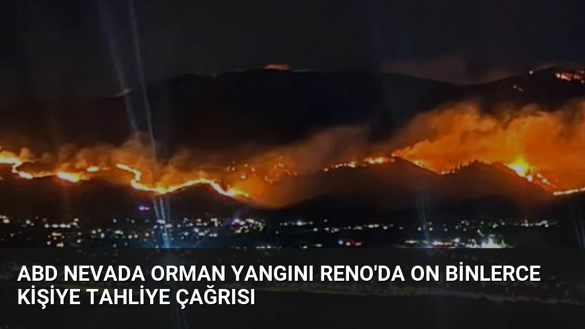 ABD Nevada Orman Yangını Reno’da On Binlerce Kişiye Tahliye Çağrısı