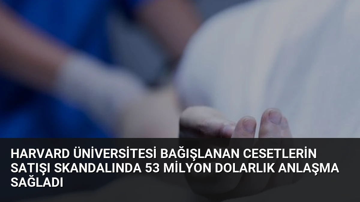 Harvard Üniversitesi Bağışlanan Cesetlerin Satışı Skandalında 53 Milyon Dolarlık Anlaşma Sağladı