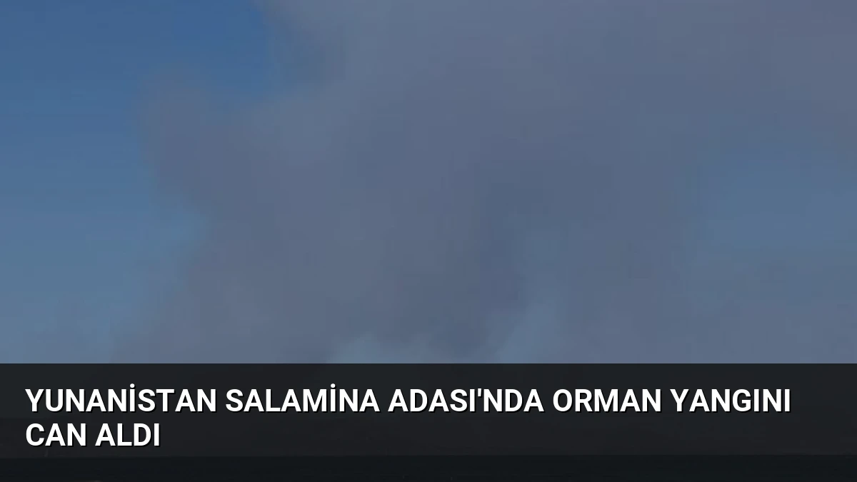 Yunanistan Salamina Adası’nda Orman Yangını Can Aldı