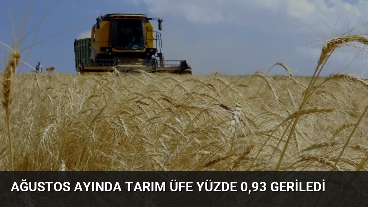 Ağustos Ayında Tarım ÜFE Yüzde 0,93 Geriledi