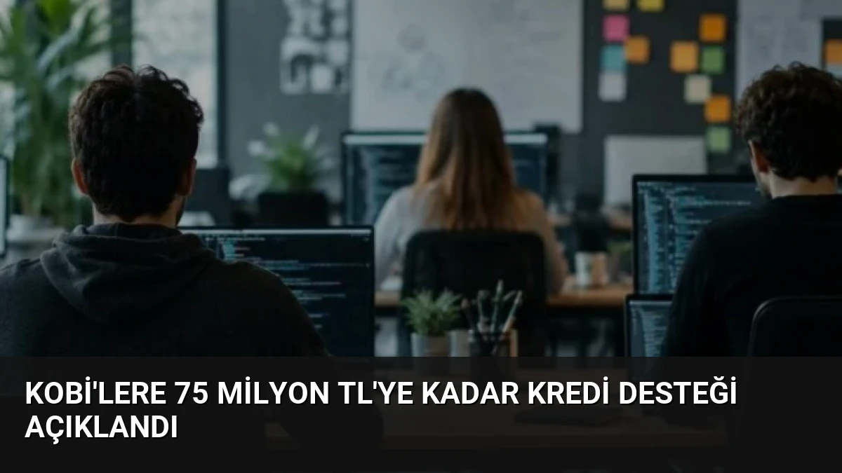 KOBİ’lere 75 Milyon TL’ye Kadar Kredi Desteği Açıklandı