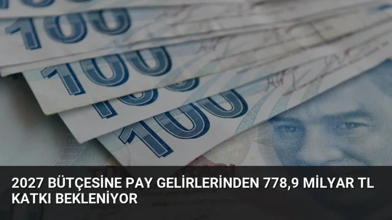 2027 Bütçesine Pay Gelirlerinden 778,9 Milyar TL Katkı Bekleniyor