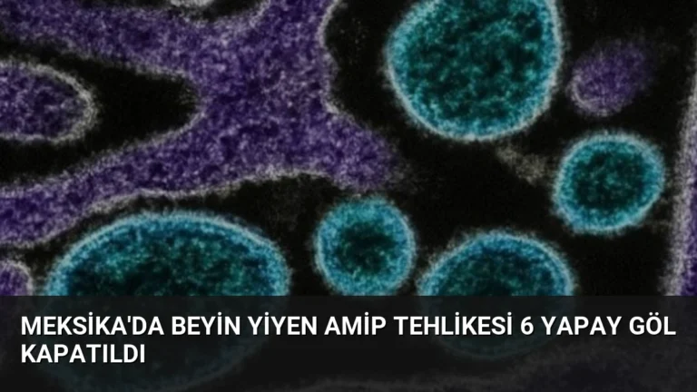 Meksika’da Beyin Yiyen Amip Tehlikesi 6 Yapay Göl Kapatıldı