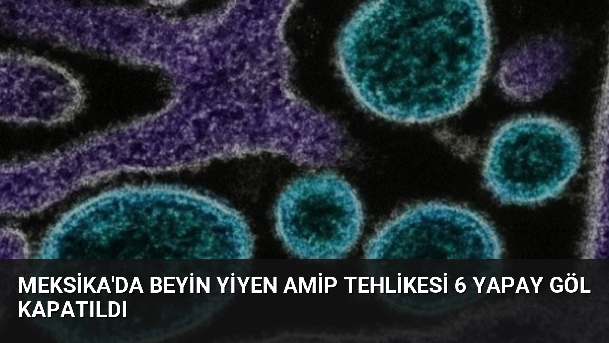 Meksika’da Beyin Yiyen Amip Tehlikesi 6 Yapay Göl Kapatıldı