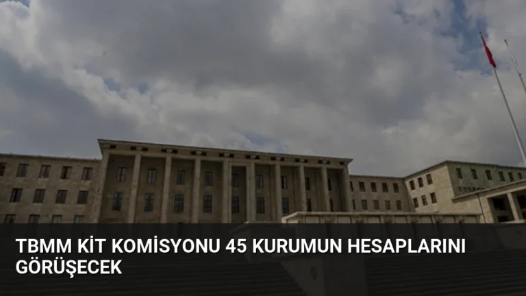 TBMM KİT Komisyonu 45 Kurumun Hesaplarını Görüşecek