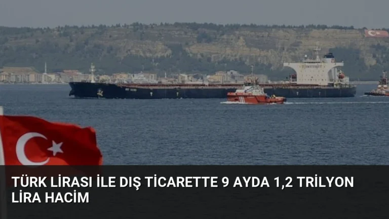 Türk Lirası ile Dış Ticarette 9 Ayda 1,2 Trilyon Lira Hacim